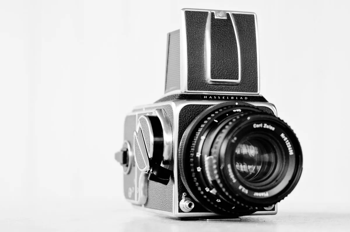 14683488618 64a2a56944 o