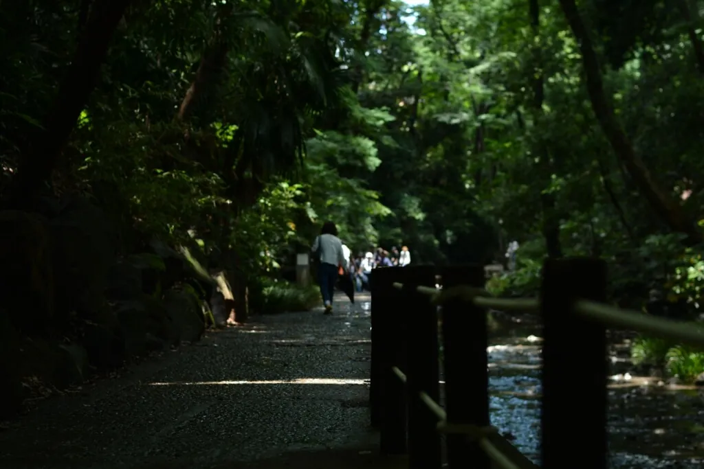 三軒茶屋から自転車で等々力渓谷に自然を求めて