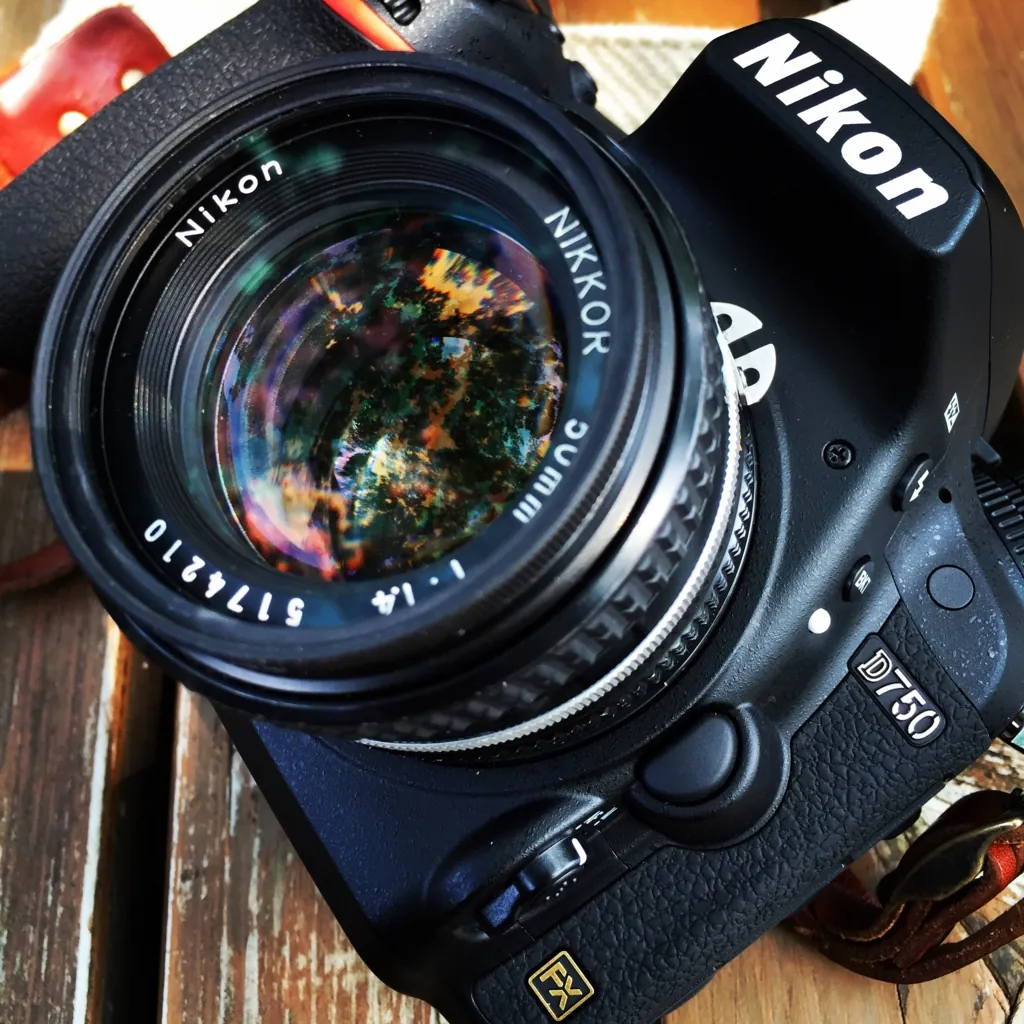 はじめての1枚のつもりが、カメラ遍歴になってしまった