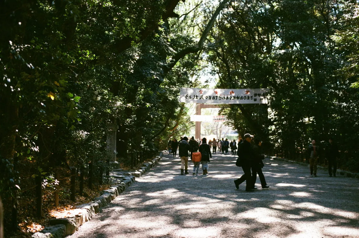 24463890978 e5263b415d o