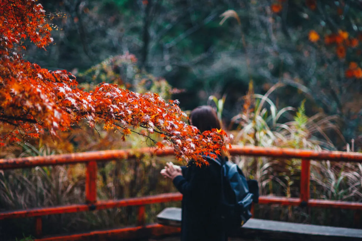 24726006148 096363c8c2 o 1