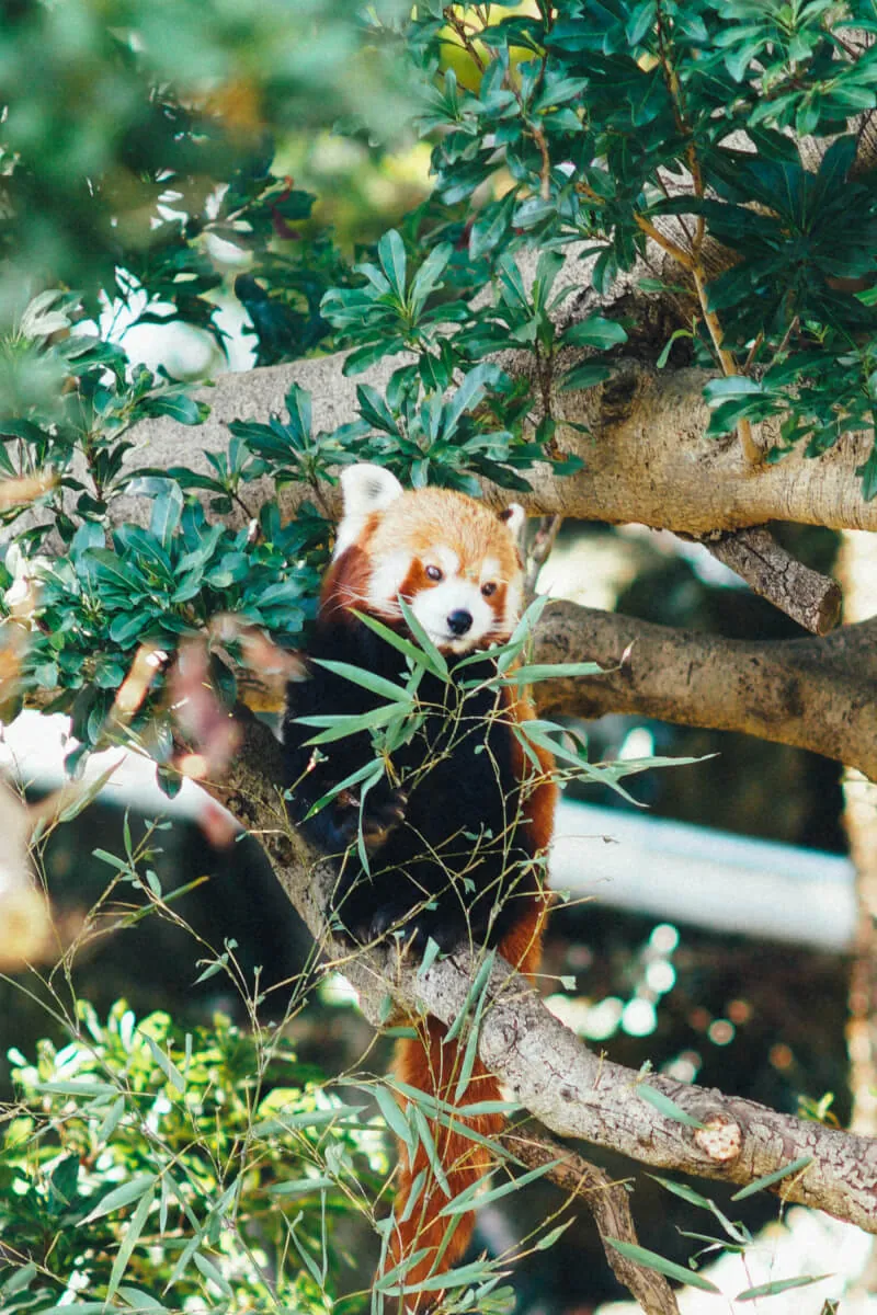 24746627817 c671579e47 o