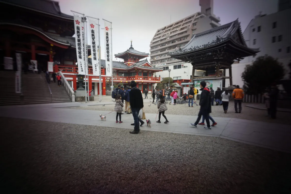 25579869177 9d84946fb8 o