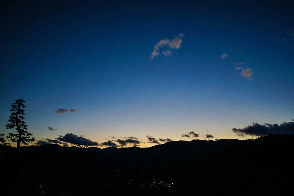 26411014599 bec07c8979 o