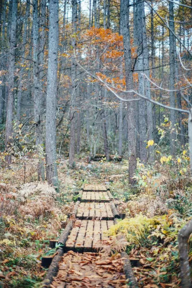 26411016579 a711ec0b5a o