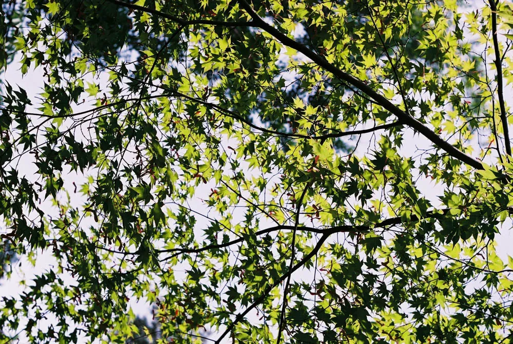 26879940386 fb691ccf63 o