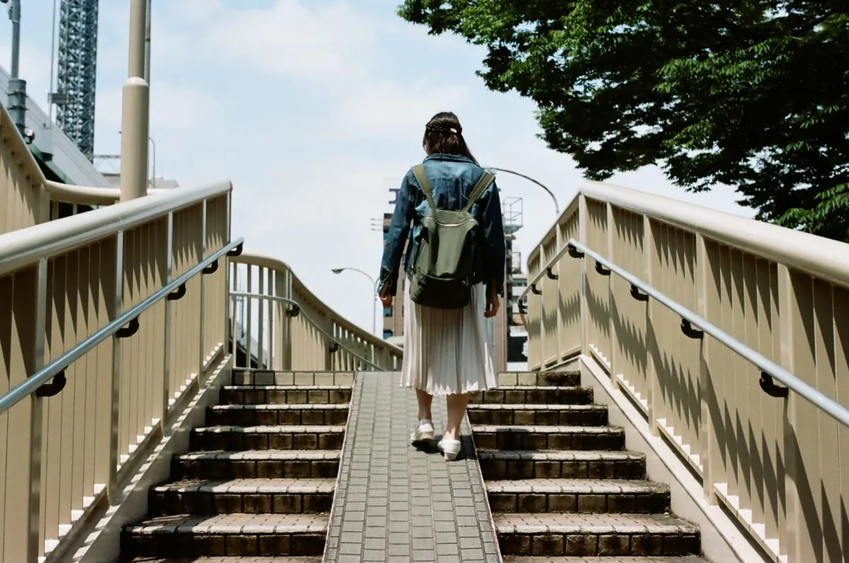 27443145154 18ec12279d o