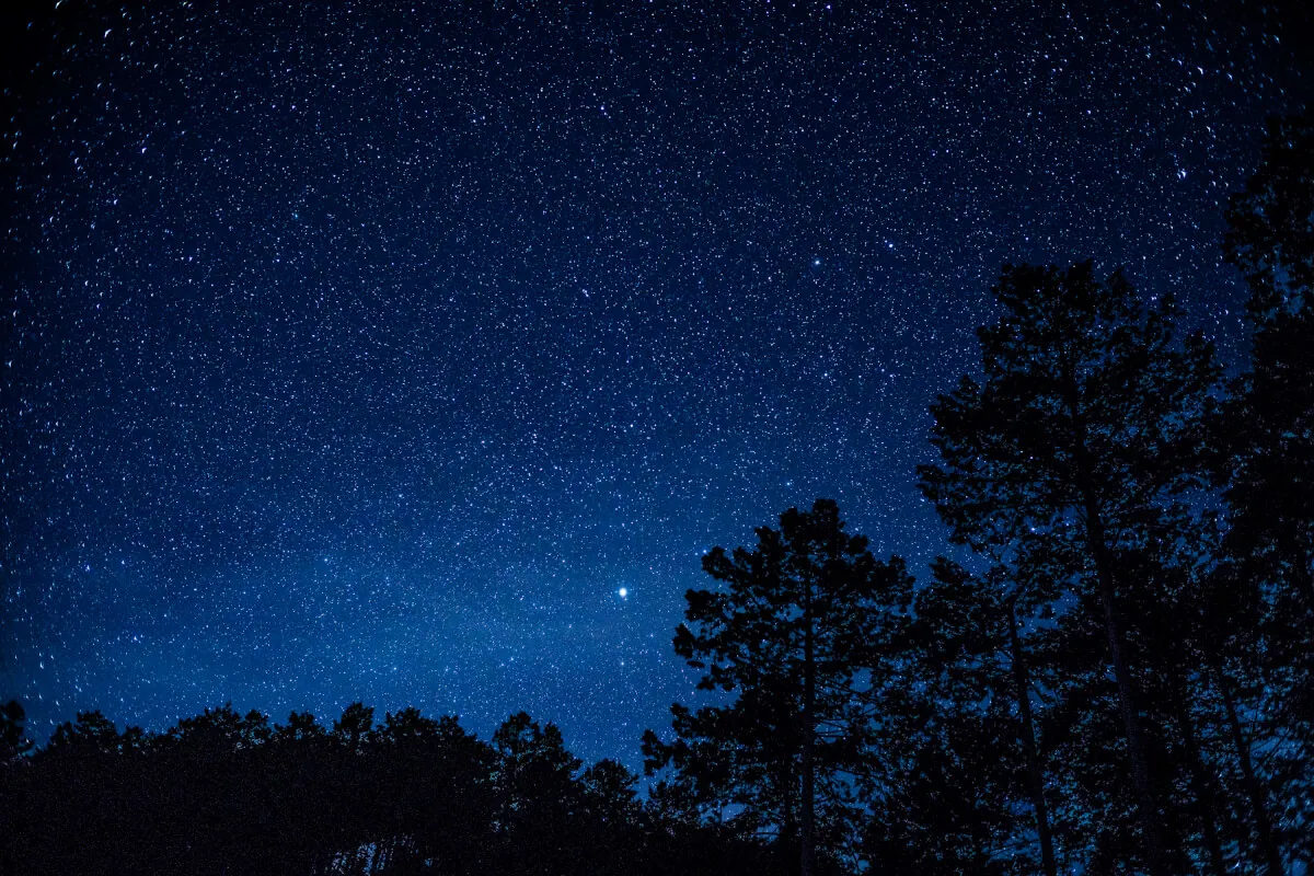 27689027758 ddc920f3b3 o