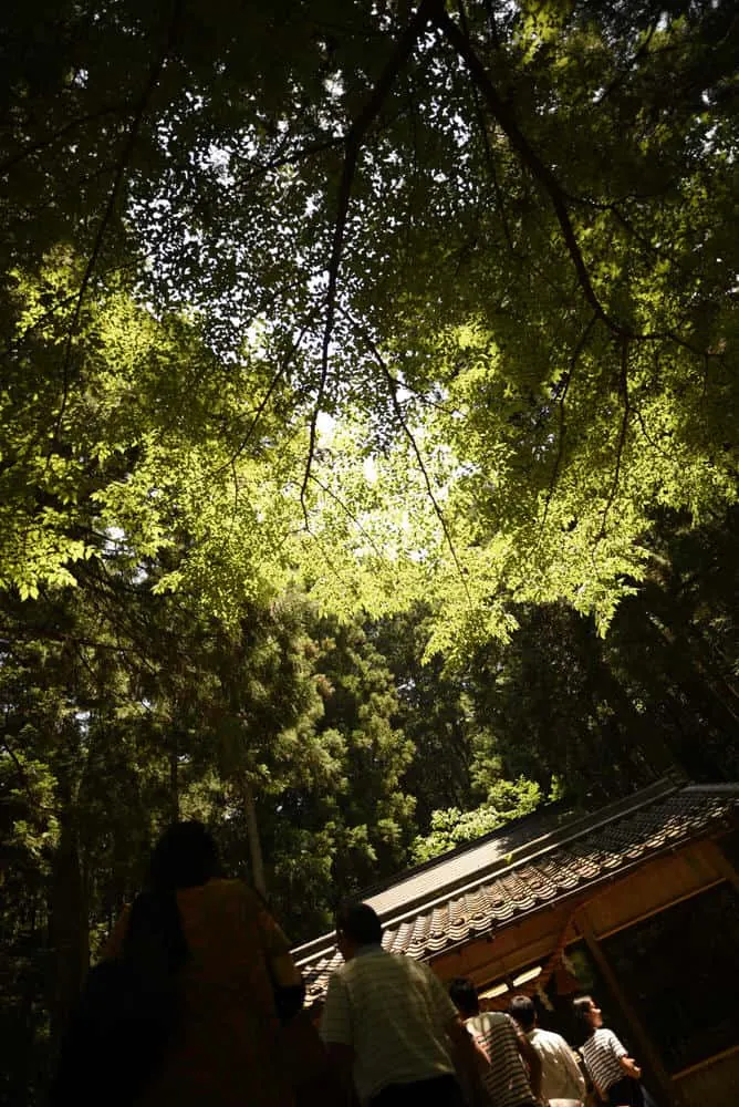 モネの池の裏山の神社
