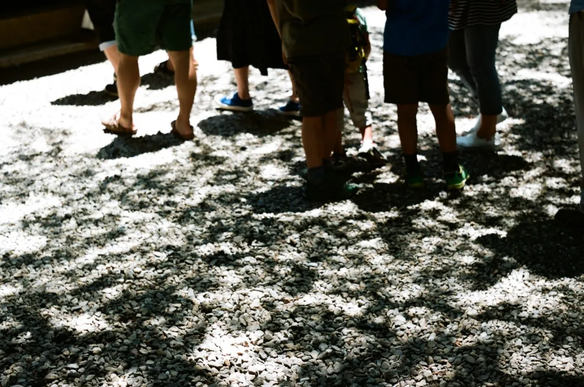 27954454362 b32878eed5 o