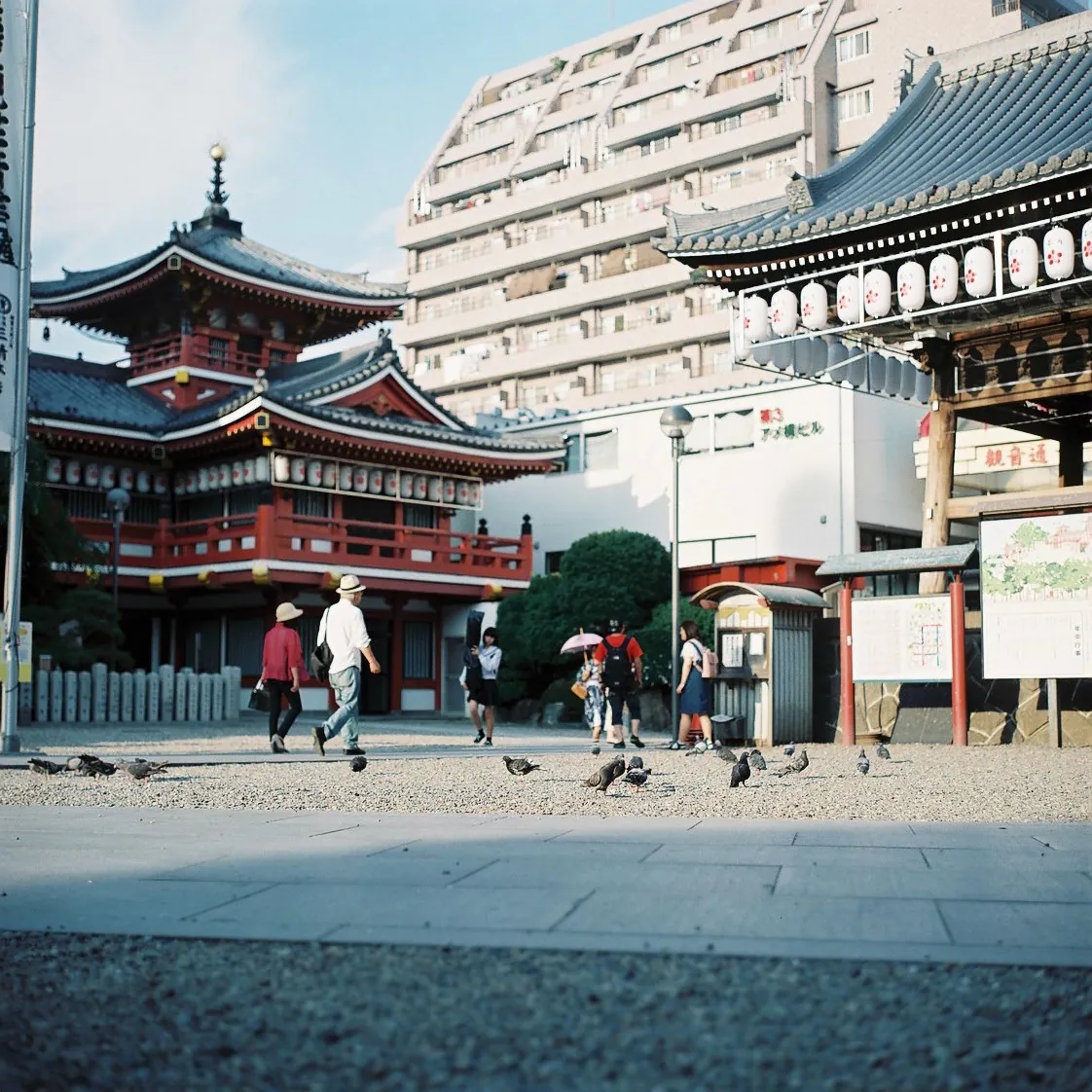 28059021624 c3f2d05407 o