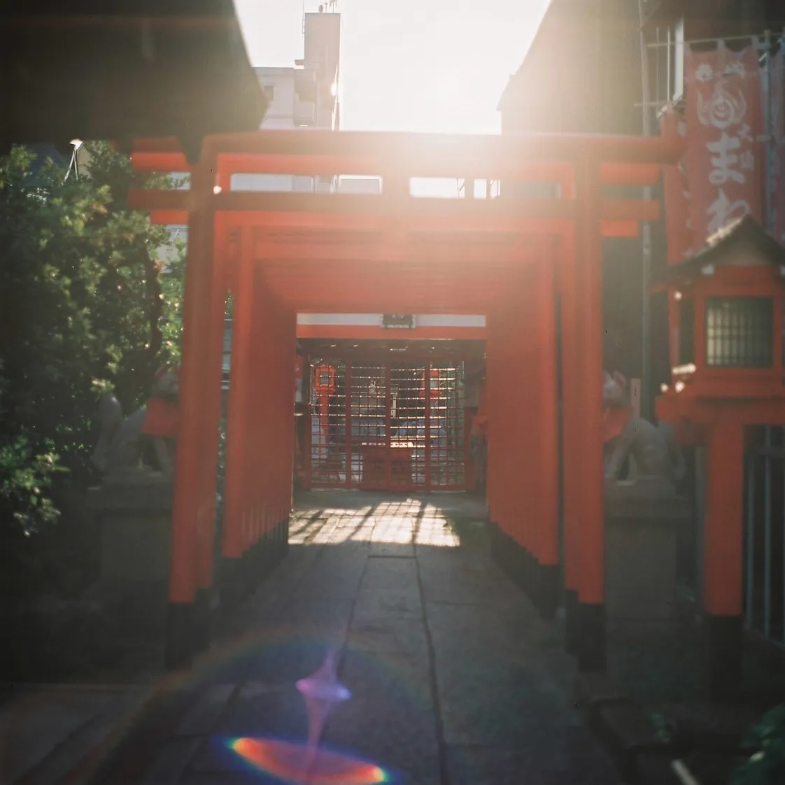 28060179883 959b8d3a50 o