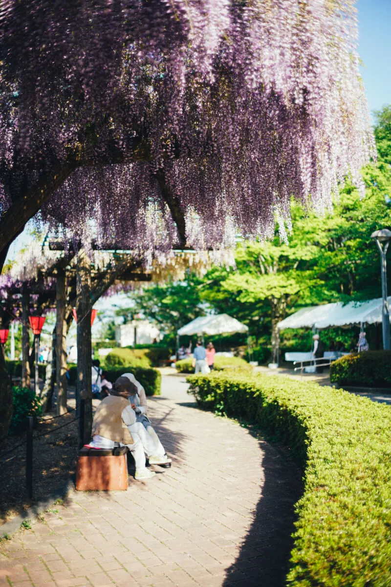 28125592568 829cf778e5 o 1