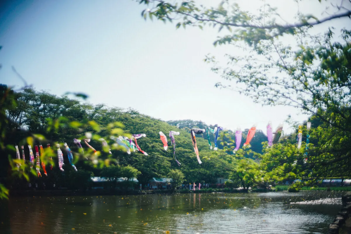 28125594068 08f9129d61 o