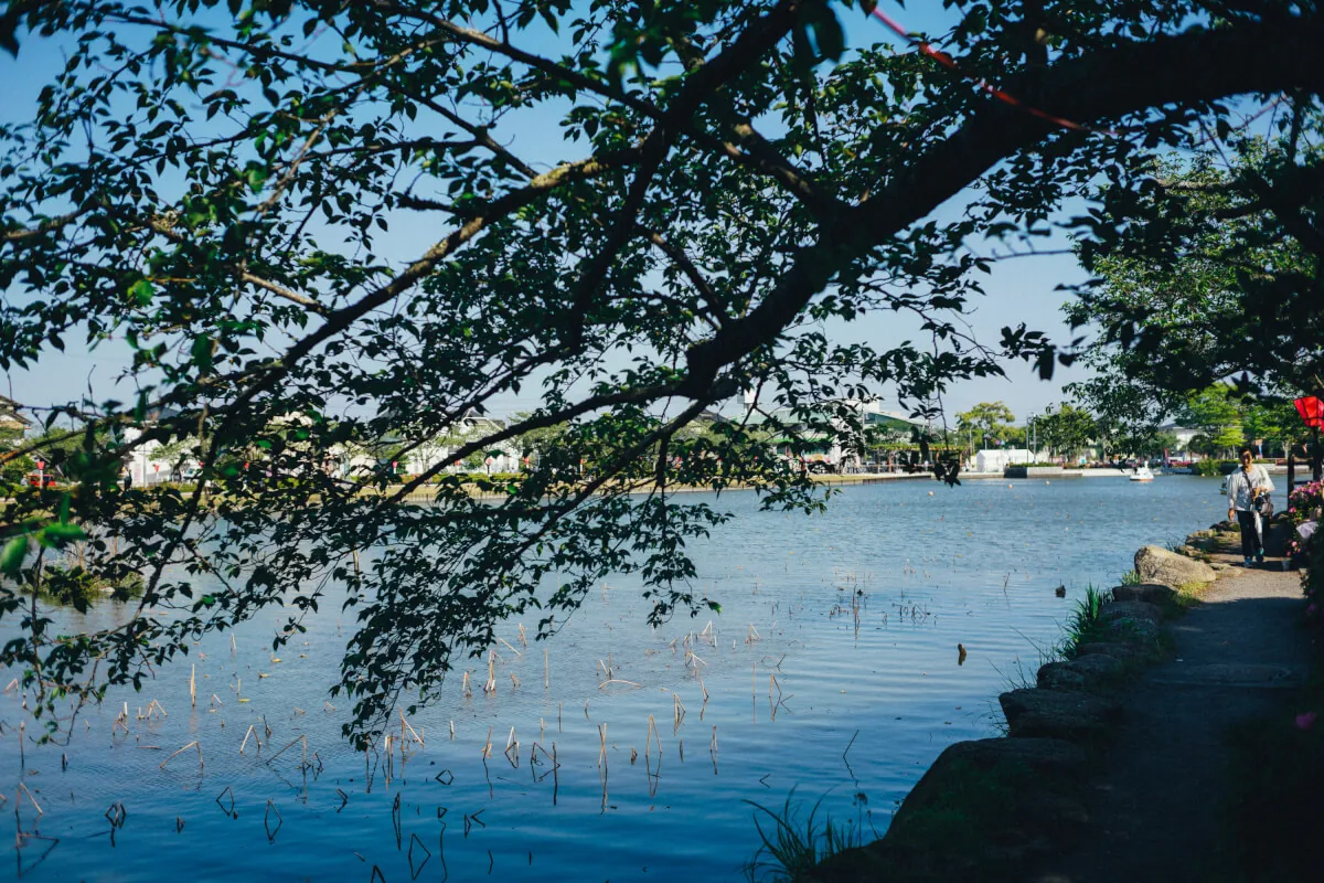 28125596228 3c09602d03 o