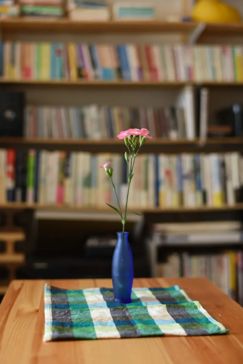 28210544960 04aef65a57 o