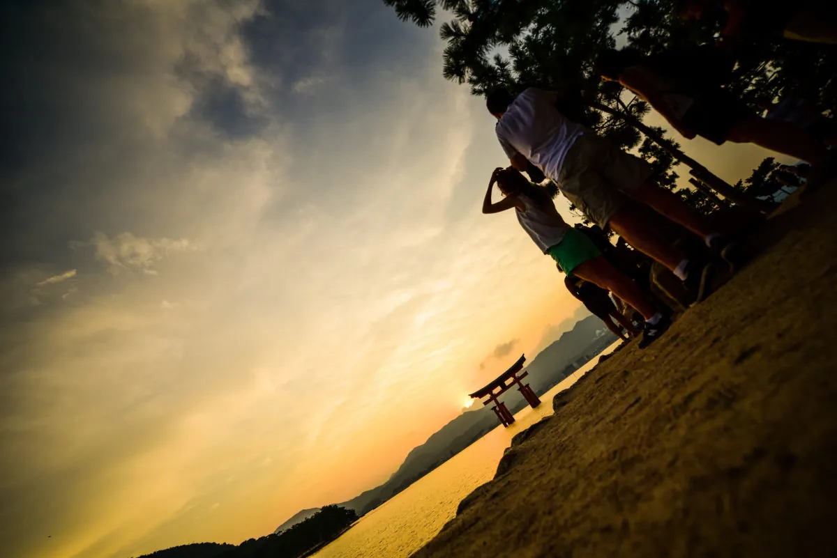 28382942365 d156e6df8c o