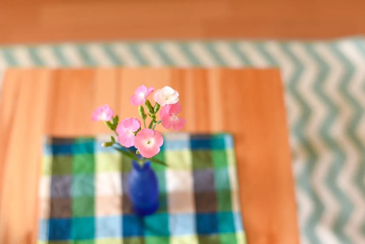 28493810165 cf8a3241dc o