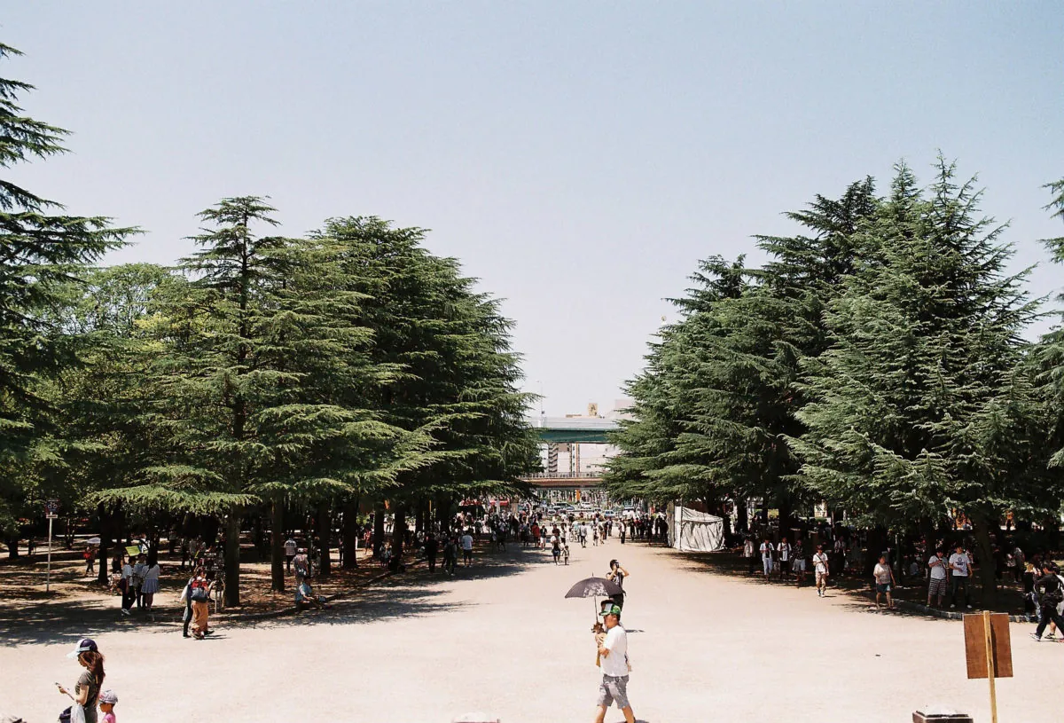 28564572600 7f1f14cb65 o