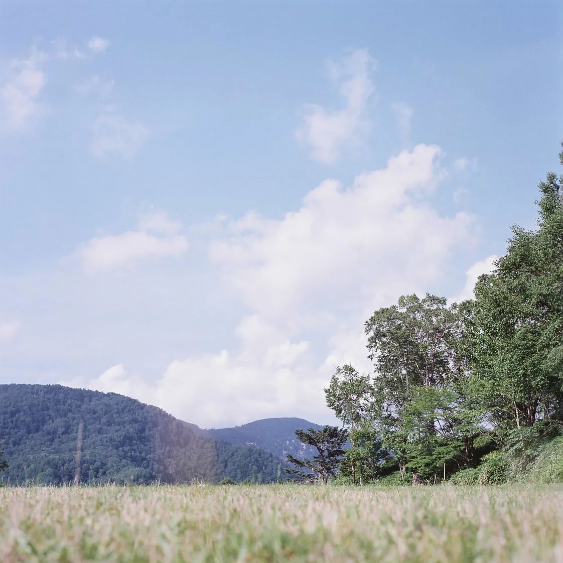 29008067094 54a9a0c4ef o