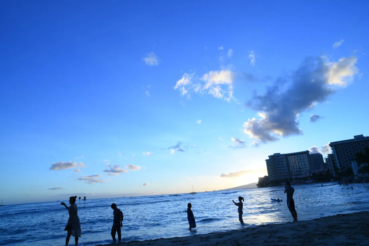 29103857685 d83f5ff6bf o