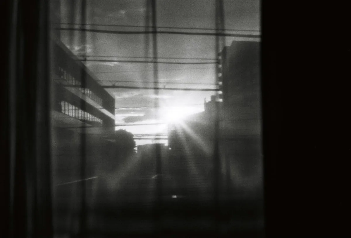 29391579912 f5aee3746a o