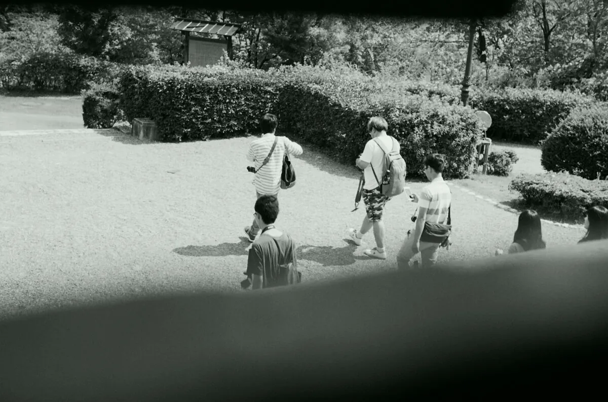 29800116656 43a4e52f3b o 1