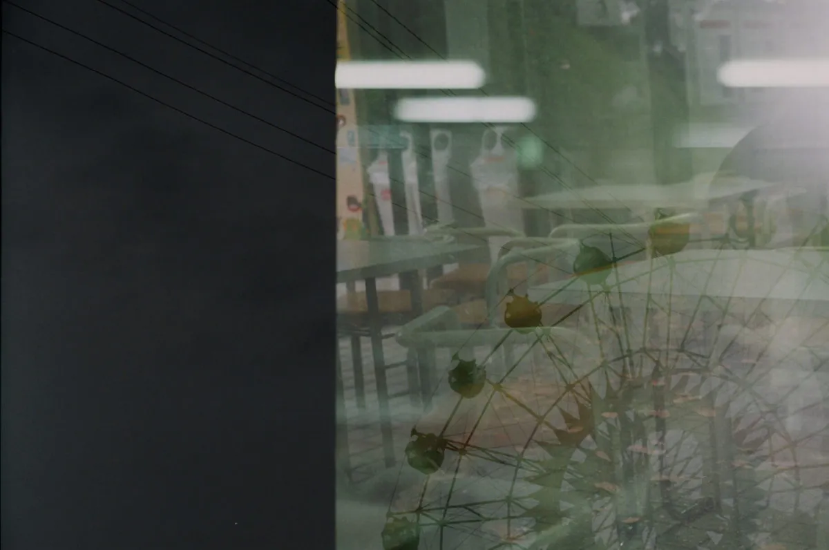 30222803383 3fa2e44f50 o 1