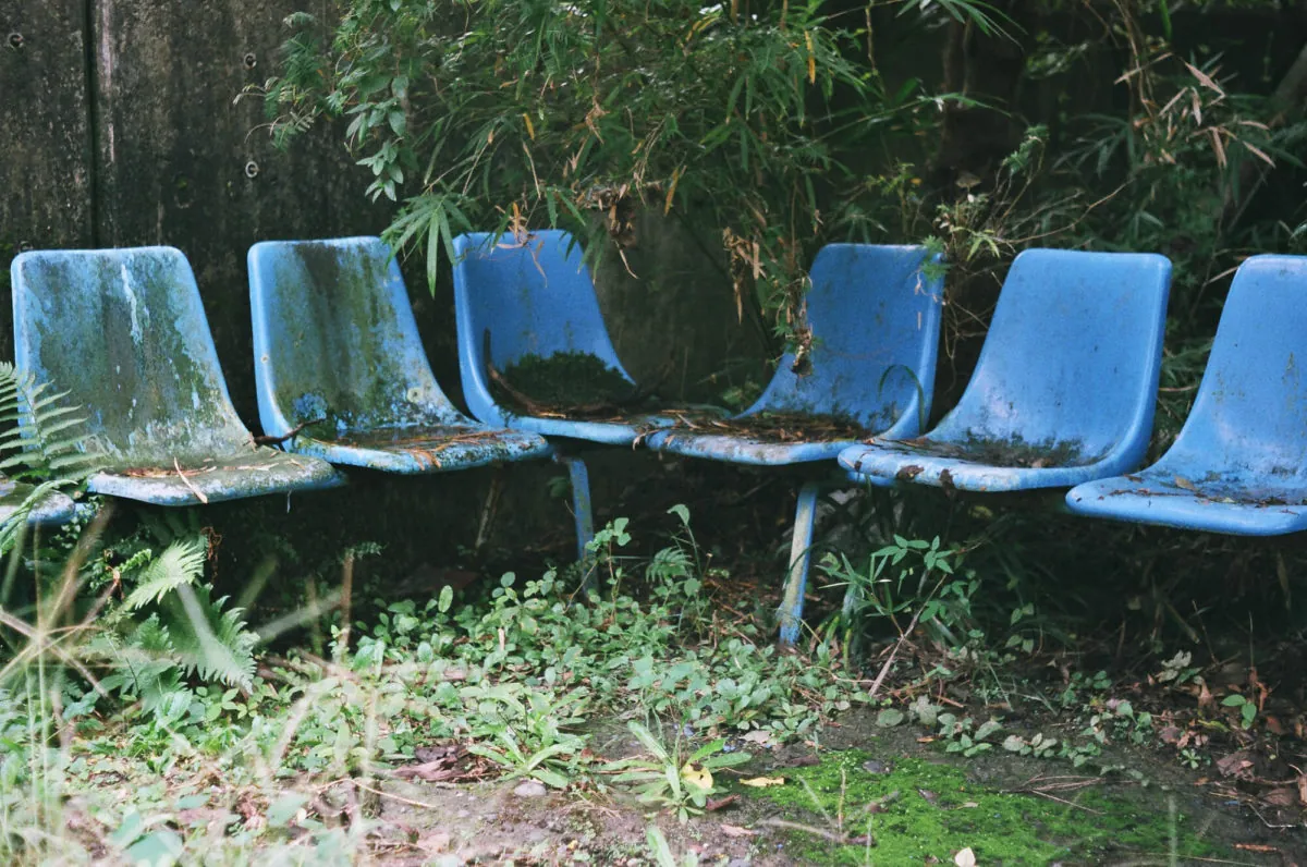 30559743610 c364af6a44 o 1