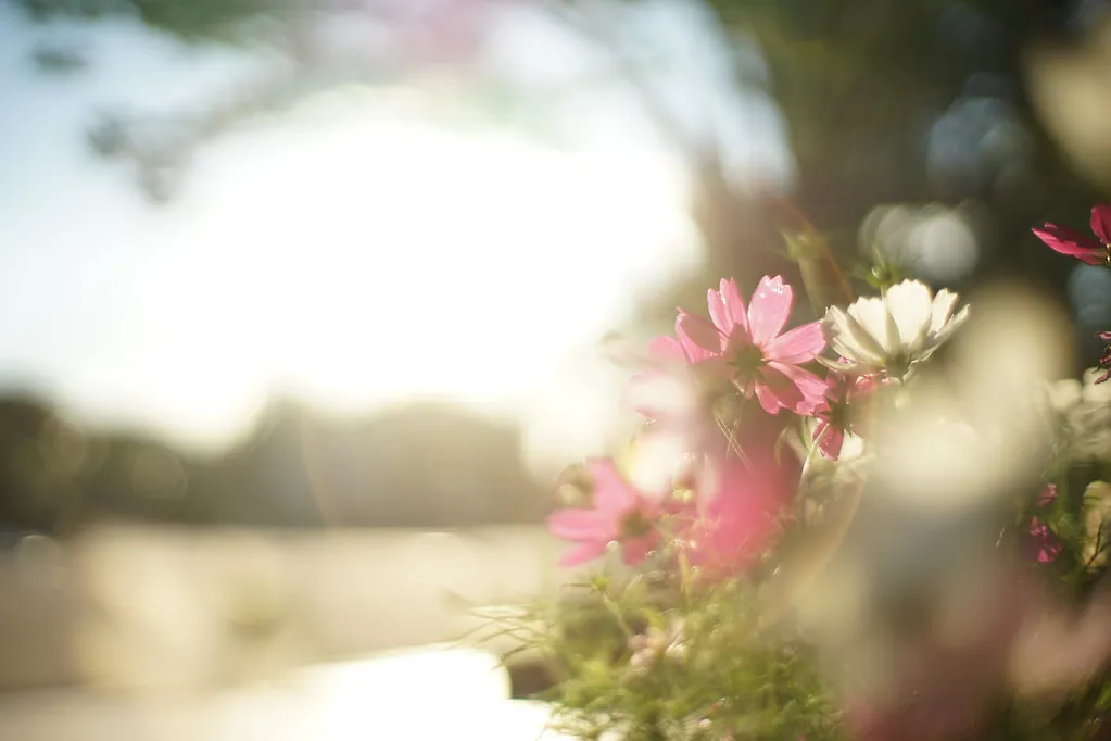 30662160015 e0521fdfae b