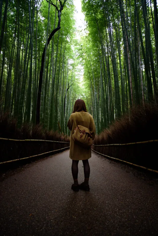 31585945216 01505717ca o