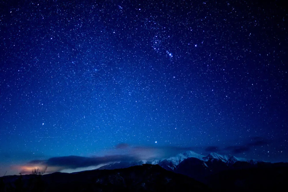 31813636500 bc2c95eaa7 o 1