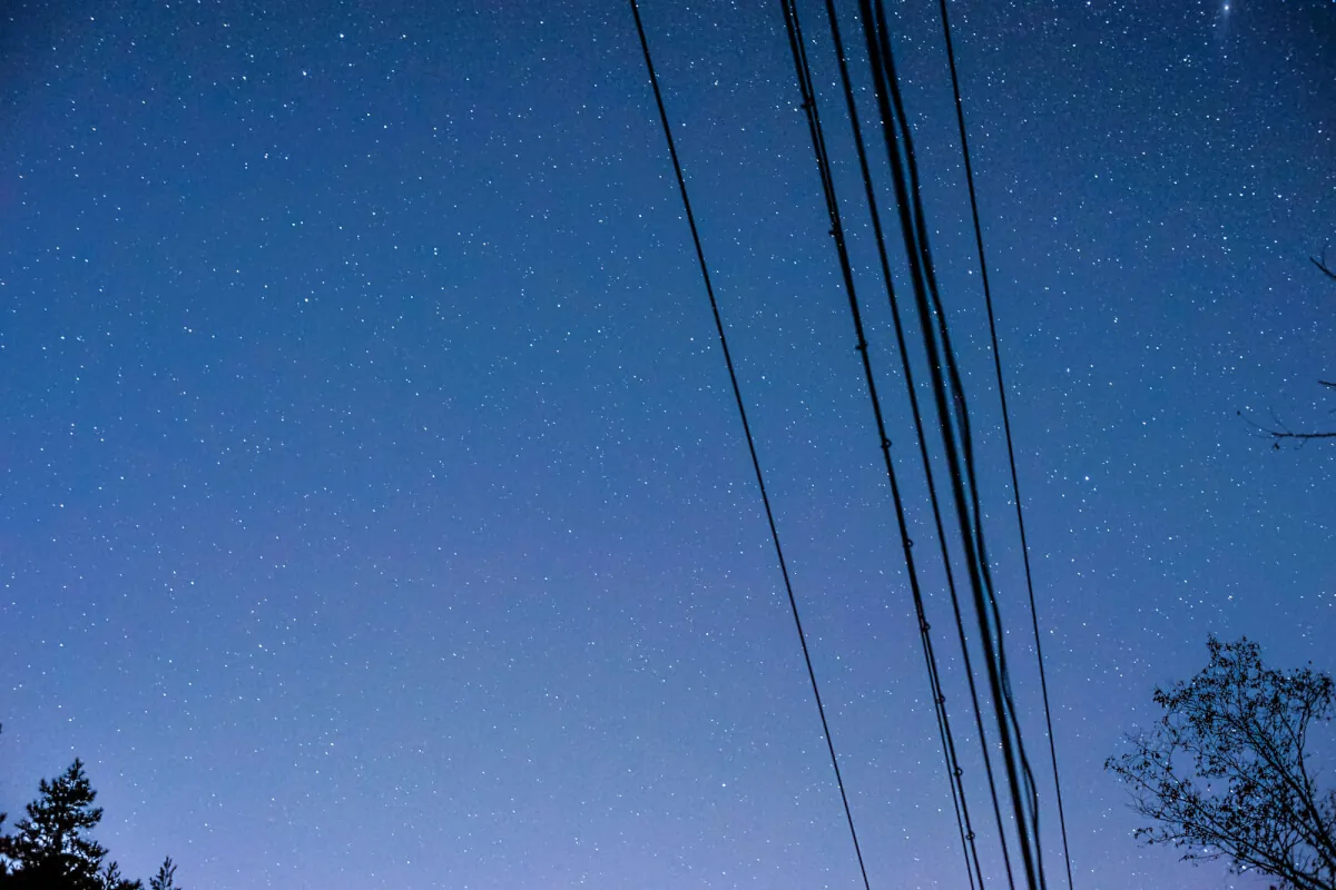 31891144415 5c31e5d5c8 o