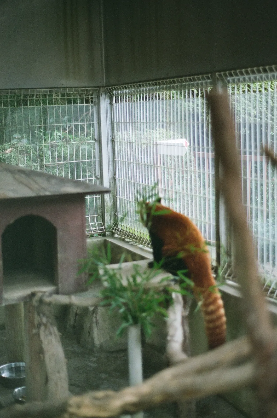 CONTAX 139Qと冬の日の写真