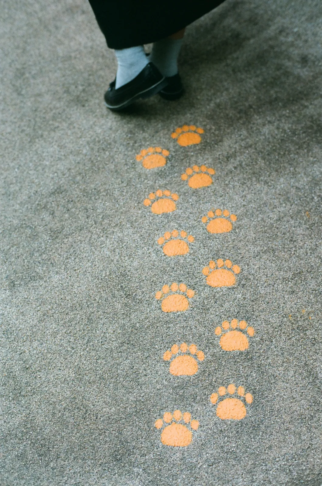 CONTAX 139Qと冬の日の写真