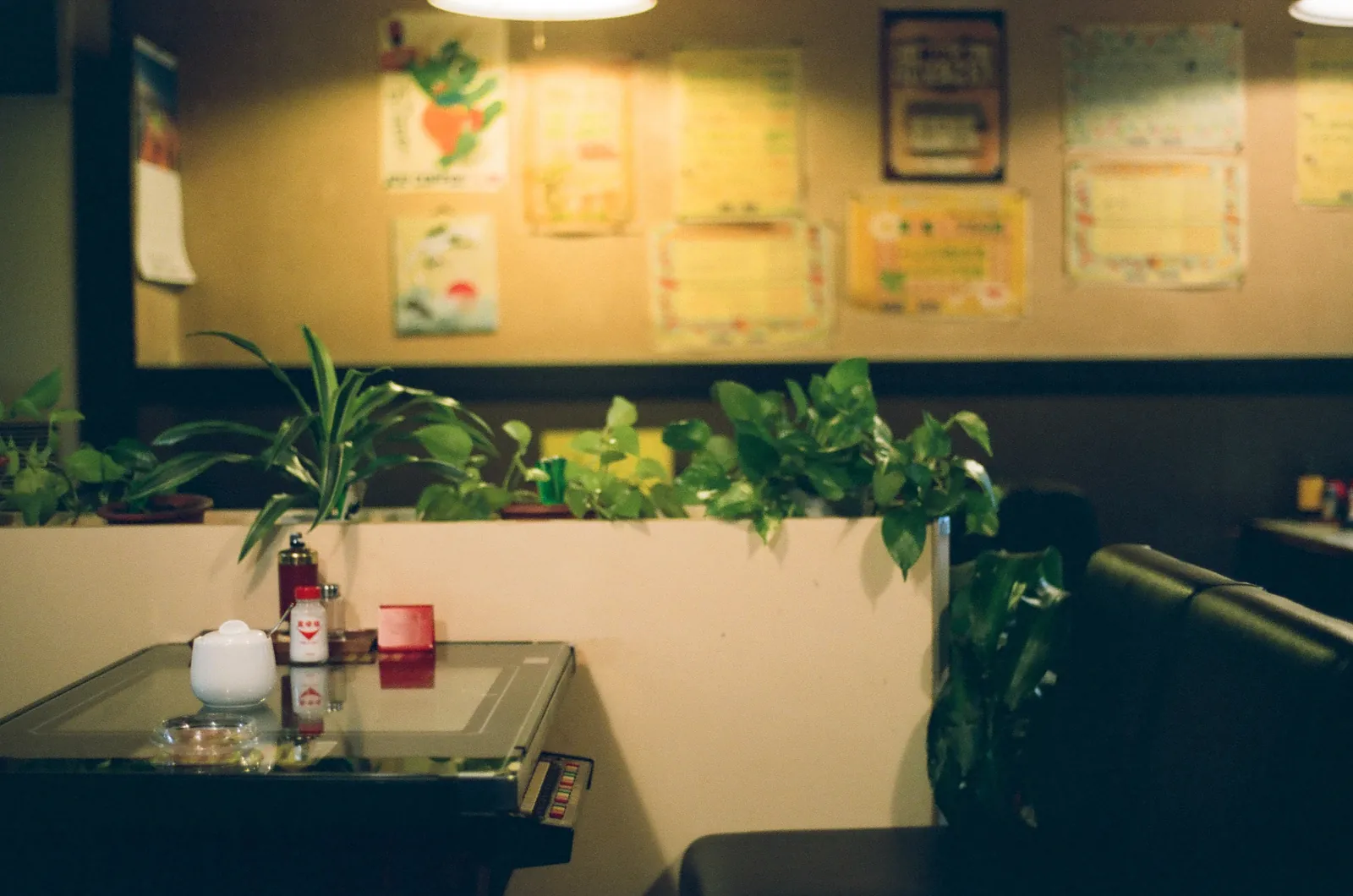 CONTAX 139Qと冬の日の写真