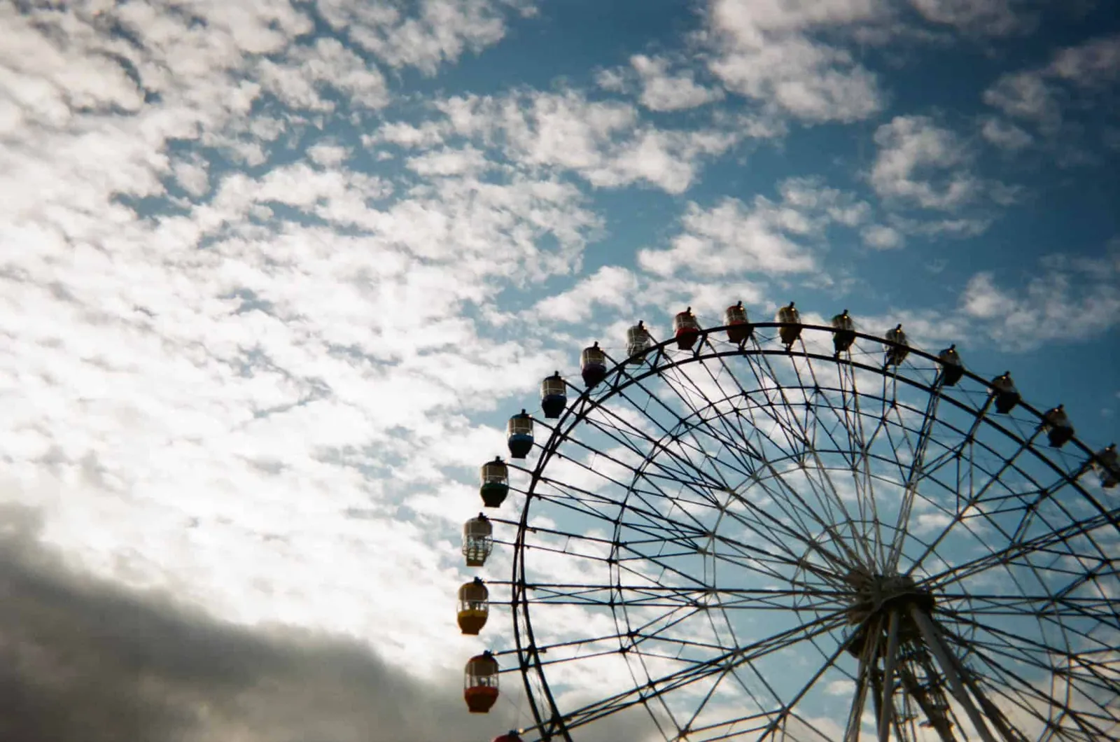 2020年、年明けの「写ルンです」の写真たち