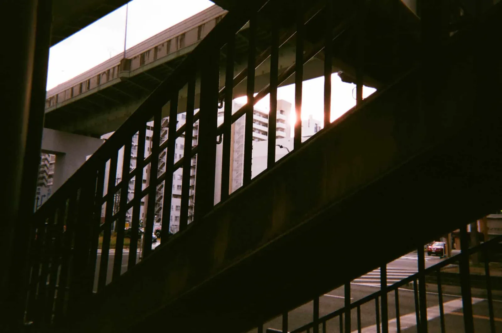 2020年、年明けの「写ルンです」の写真たち