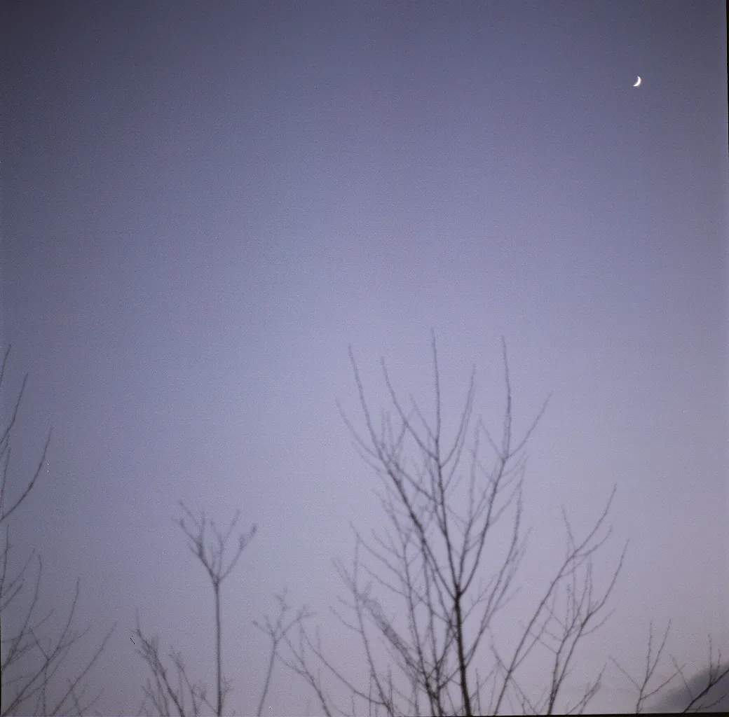 32629234034 cdc4e2c068 o