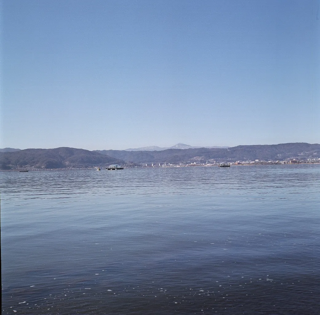 32629234164 b3faa77d60 o