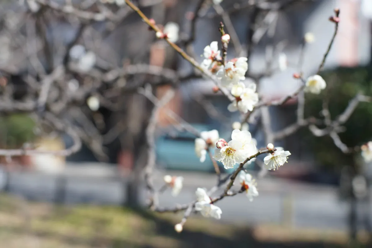 32863242751 9d85c6f22b o 1