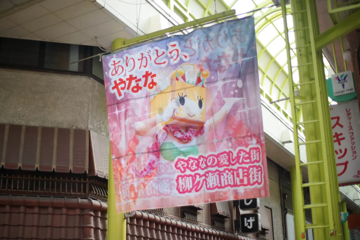 32988444055 0c8621f4dc o 1