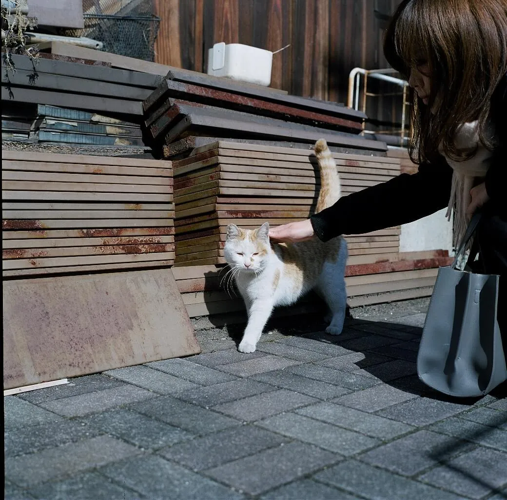 33023643573 4503701a57 o