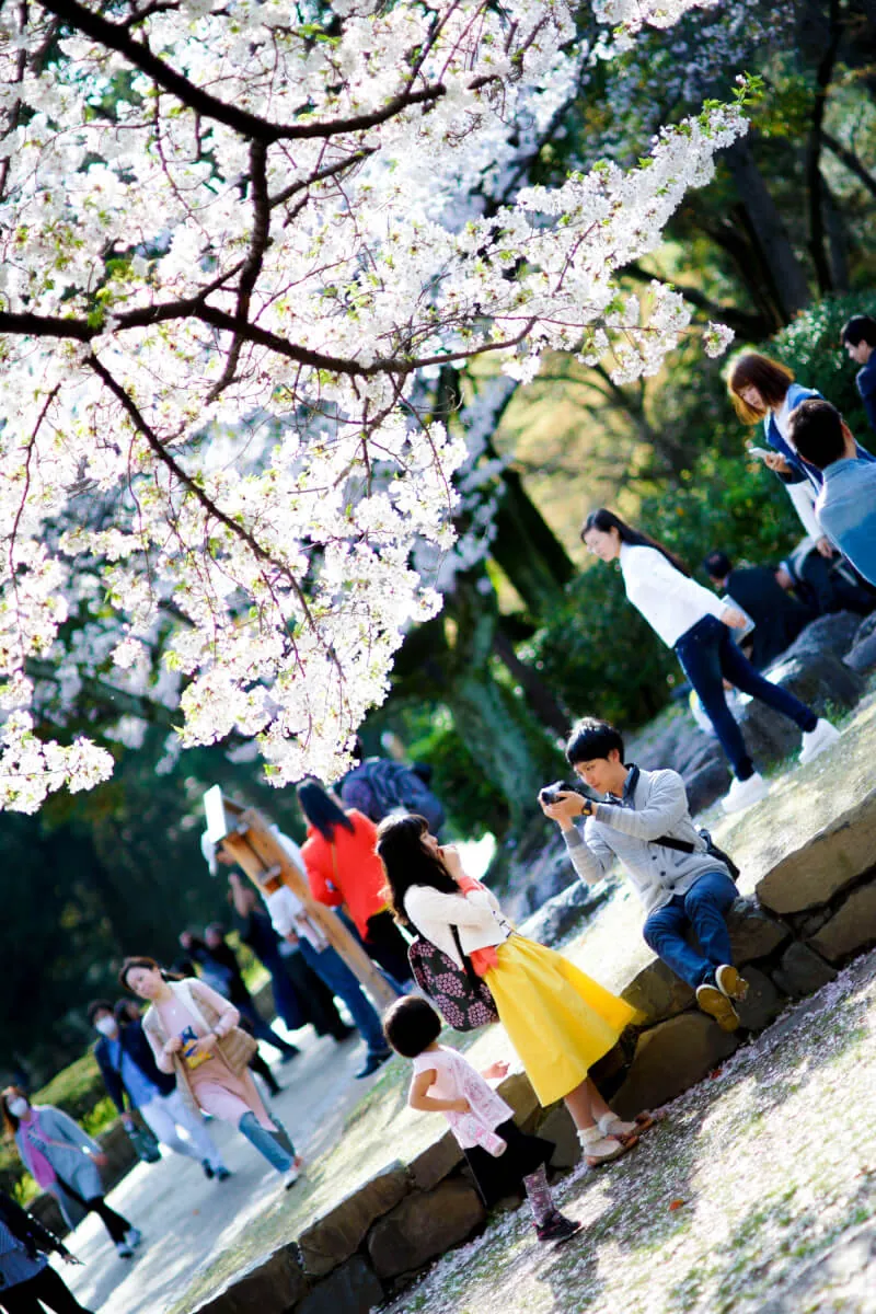 33142462663 2002e1c9b2 o