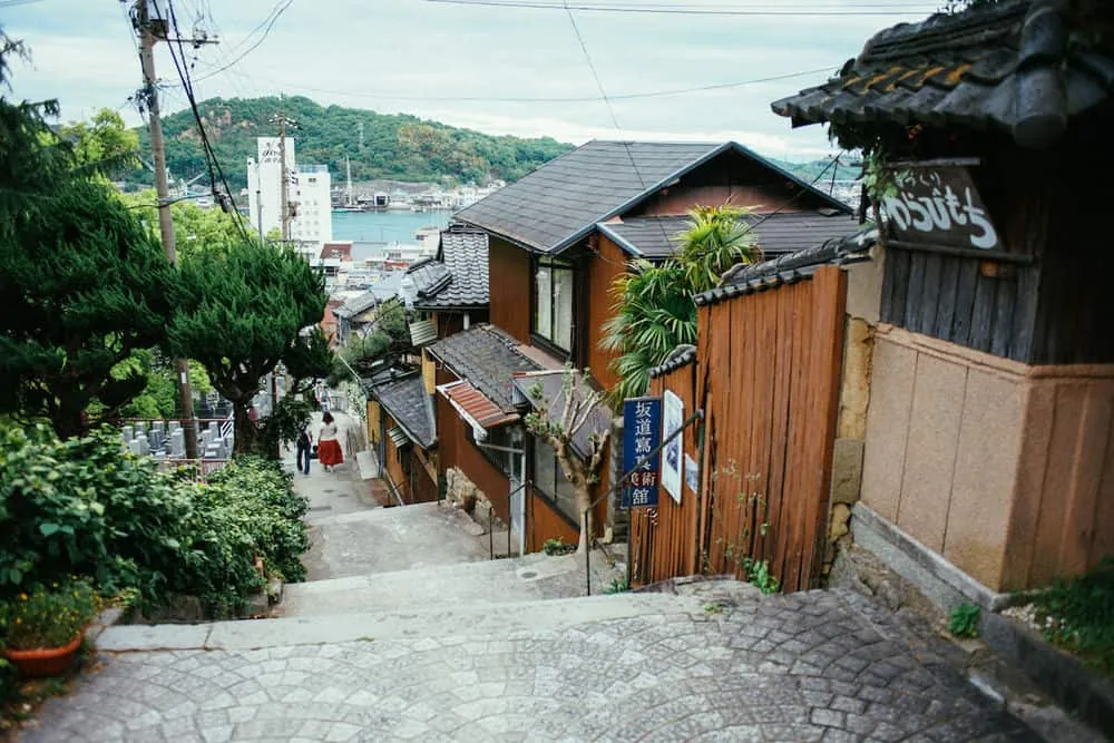 登ってくところ