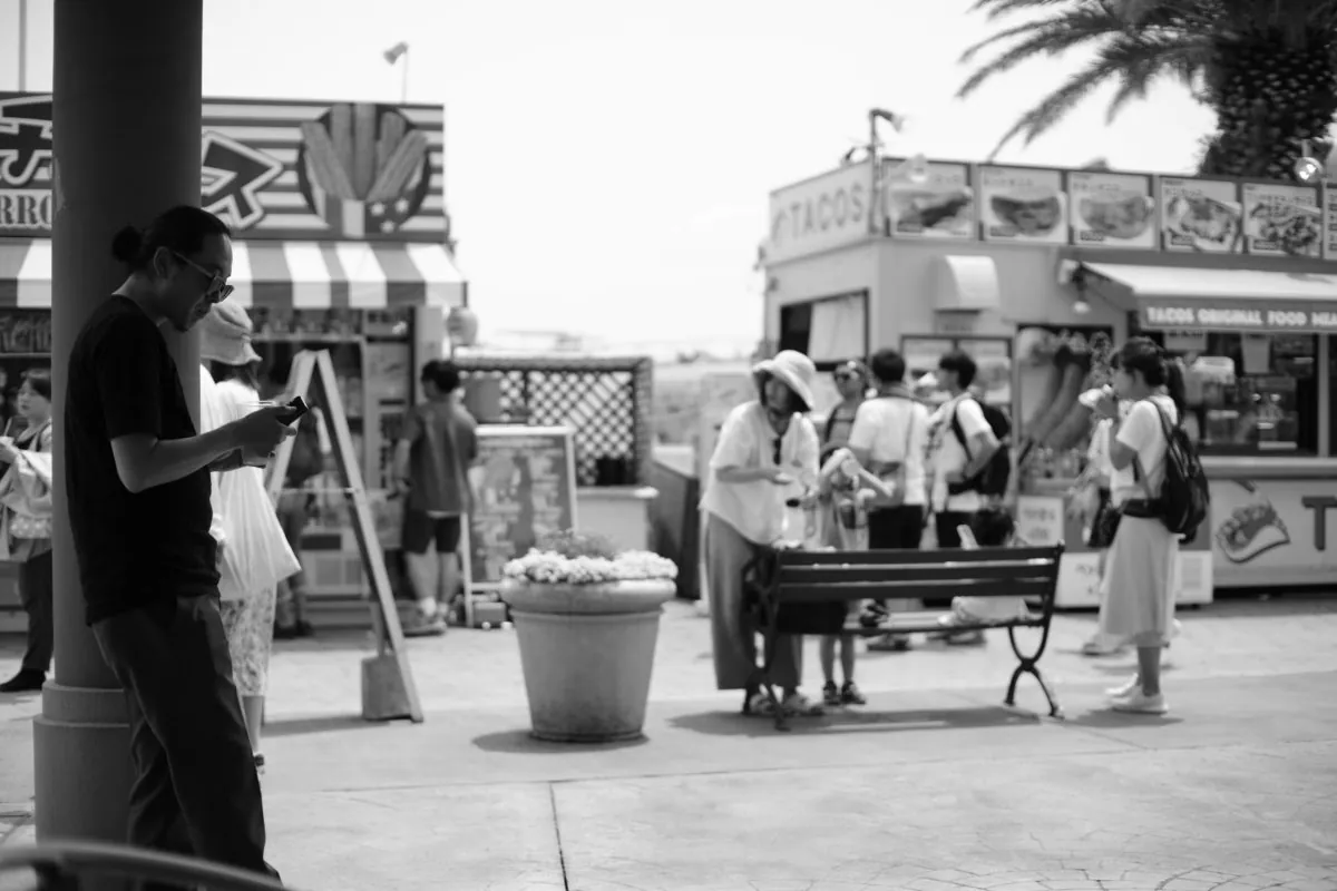 33867493573 d0888ac319 o