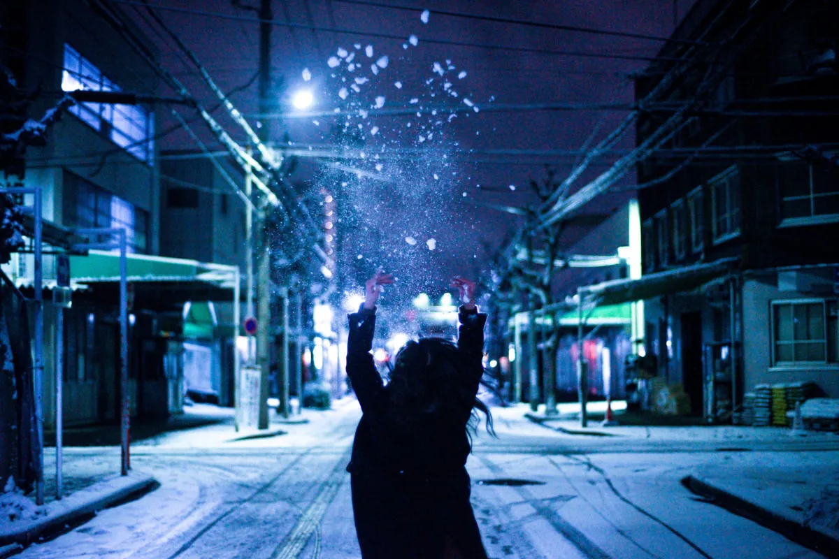 33898141305 4acab8f700 o 1