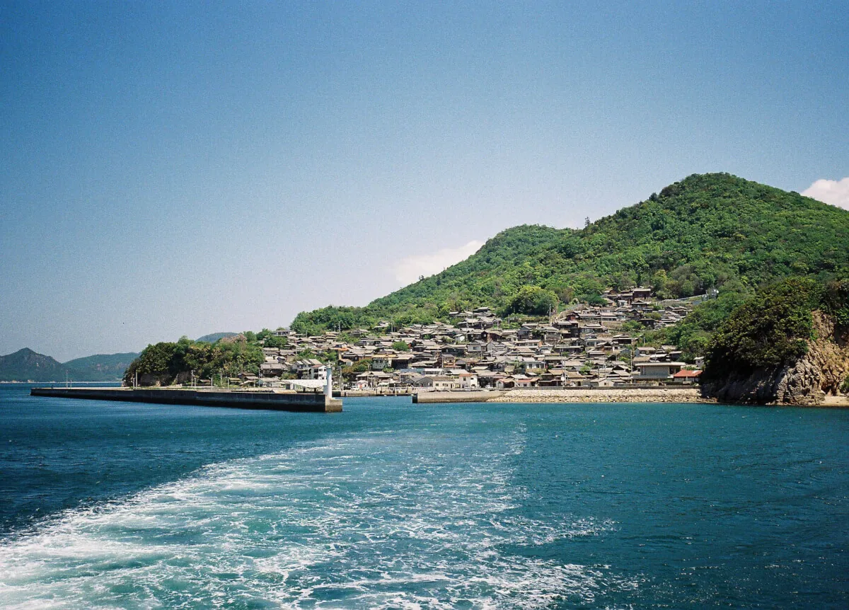 34189920940 cccdcb2562 o