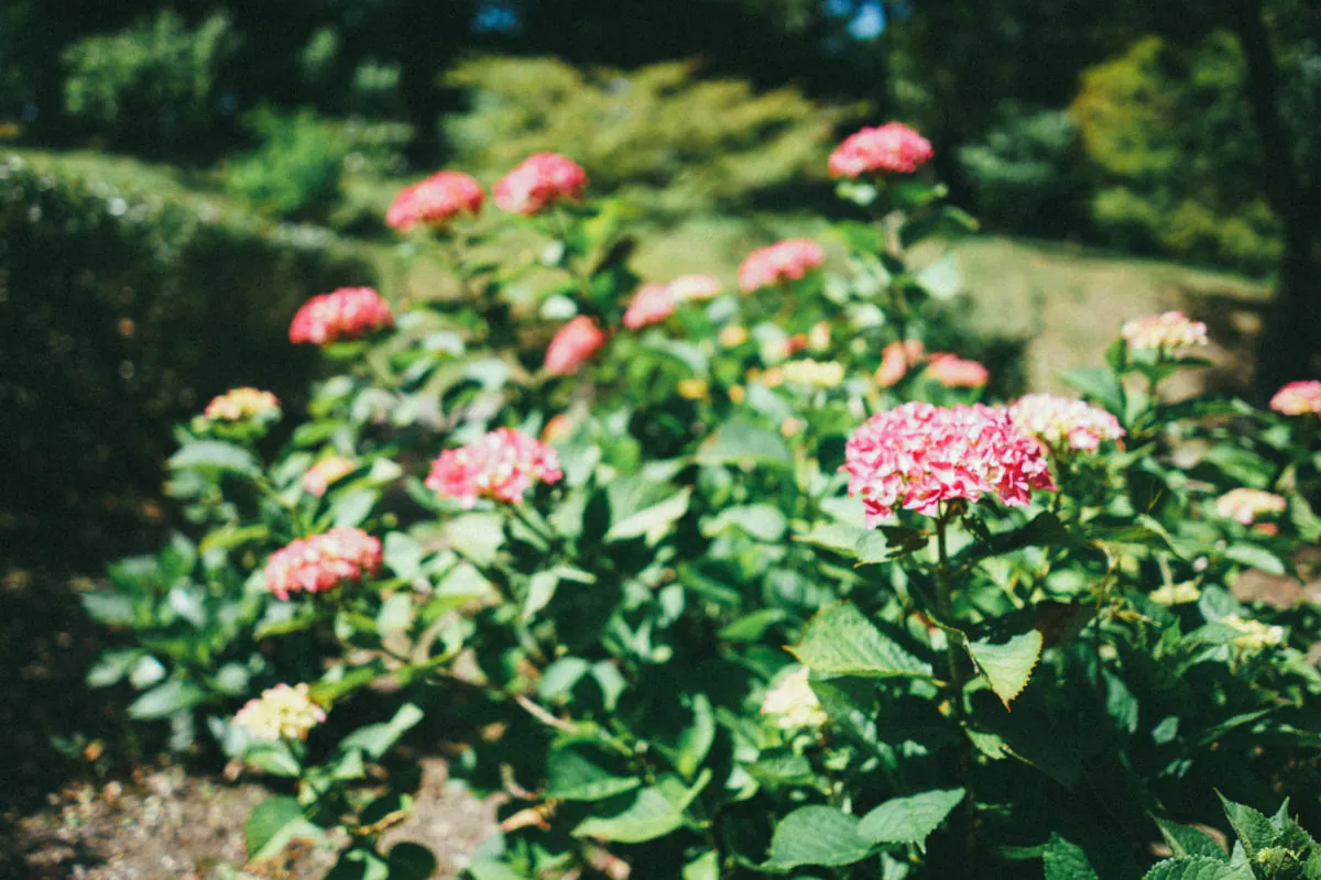 34281472013 dacc339d12 o