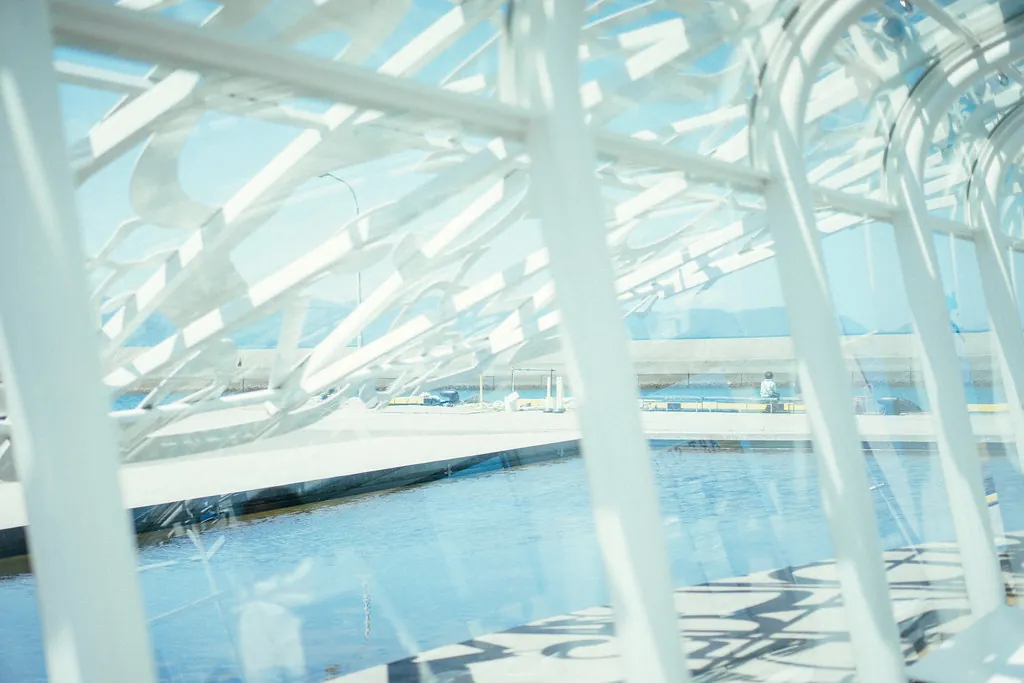 34437491086 dfe026160b b